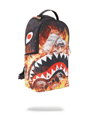 FIRE MONEY SHARK