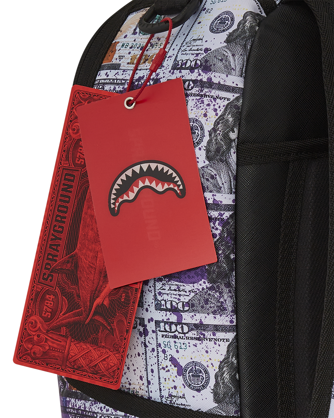 BILLIONS IN THE BANK BACKPACK