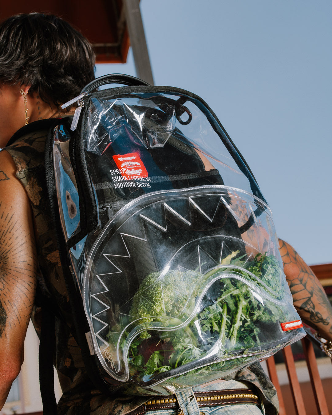 CLEAR BACKPACK - SHARK CENTRAL